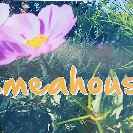 Cosmeahouse App. Durban * Ueckermünde